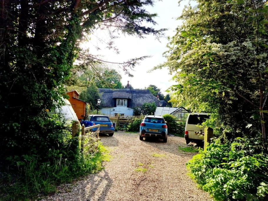 Piddle Puddle Cabin Дорчестер Экстерьер фото